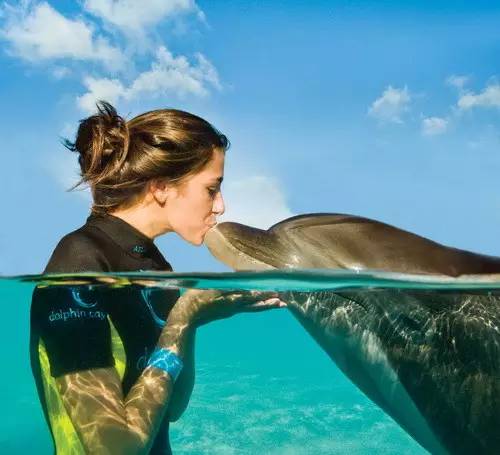 与海豚接吻的美女