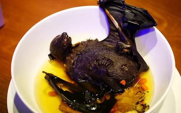 帕劳美食水果蝙蝠汤