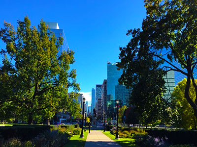 加拿大多伦多大学4