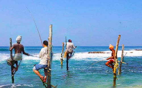 斯里兰卡高跷钓鱼1