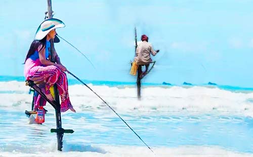 斯里兰卡高跷钓鱼2