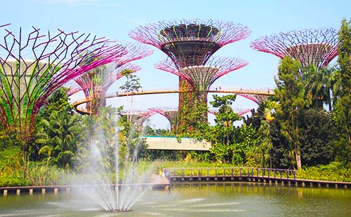 新加坡滨海湾花园3