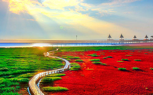 紅海灘國(guó)家風(fēng)景廊道2