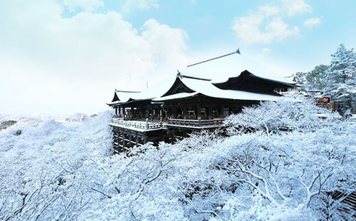 日本清水寺3雪