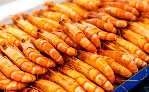 长江行极光美食集锦03