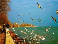 暢游東歐匈牙利-奧地利-捷克-斯洛伐克4國10天<克魯姆洛夫城堡+布拉格城堡+漁人堡+多瑙河游船>