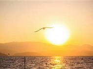 [纯玩]重庆到昆明+大理+丽江双高5晚6天[玉龙雪山+洱海+蓝月谷]