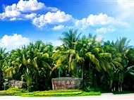 海南三亞蜈支洲島-玫瑰谷-南山-森林公園-天涯海角雙飛5日游<直升機體驗+出海半日游>