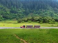 武隆仙女山-天生三橋品質純玩一日游<含天坑換乘車.不含小火車>