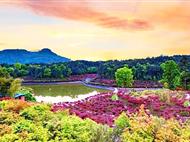 巴南南湖多彩植物園直通車一日游<重慶周邊一日游>