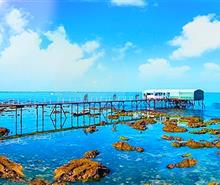 重慶到三亞蜈支洲島+西島雙島暢游雙飛5/6日游<一價(jià)全含+五星酒店+贈(zèng)秀都魔幻>