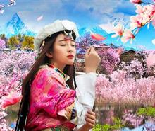 [純玩]西藏布達(dá)拉宮+大昭寺+魯朗林海+雅魯藏布大峽谷+巴松措+雅尼濕地+林芝桃花溝+羊卓雍措去臥回飛9日游