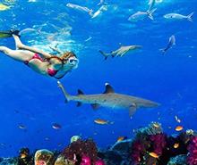 斐濟(jì)[4晚外島托闊里奇海濱草屋+2晚鉑爾曼園景房]8天6晚自由行<含國(guó)際機(jī)票及稅金+酒店+上島交通+接送機(jī)>