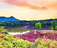 巴南南湖多彩植物園直通車一日游<重慶周邊一日游>