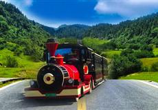 [8人小包團(tuán)]武隆仙女山+天生三橋+烏江畫廊游船純玩一日游<主城商圈上門接|0購(gòu)物>