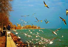 暢游東歐匈牙利-奧地利-捷克-斯洛伐克4國(guó)10天<克魯姆洛夫城堡+布拉格城堡+漁人堡+多瑙河游船>