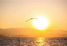 [純玩]重慶到昆明+大理+麗江雙高5晚6天[玉龍雪山+洱海+藍(lán)月谷]