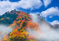 【醉美金秋】光霧山.米倉(cāng)山+川東九寨十八月潭精品紅葉純玩3日游