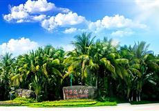 海南三亞蜈支洲島-玫瑰谷-南山-森林公園-天涯海角雙飛5日游<直升機(jī)體驗(yàn)+出海半日游>