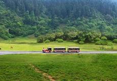 武隆仙女山-天生三橋品質(zhì)純玩一日游<含天坑換乘車.不含小火車>