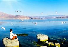 云南大理一地自由行雙高5/6日游