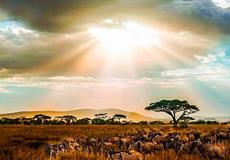 肯尼亞10天高品質(zhì)動(dòng)物追逐之旅_成都/長(zhǎng)沙起止<純玩·0購(gòu)物·20人內(nèi)高品小團(tuán)>