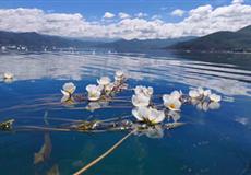 重慶直飛瀘沽湖自由行3日/4日游<機(jī)票+酒店+接機(jī)>