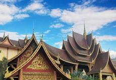 【西雙版納】<野象谷/原始森林公園/花卉園南糯山/傣族村寨/告莊星光夜市>純玩4晚5日游