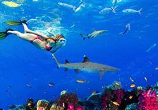 斐濟(jì)[4晚外島托闊里奇海濱草屋+2晚鉑爾曼園景房]8天6晚自由行<含國(guó)際機(jī)票及稅金+酒店+上島交通+接送機(jī)>