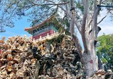 重庆到北京+天津一价全含双飞六日游（住商务酒店+赠450元小交通）