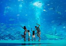 [亲子游]重庆到三亚双飞5日游[渔村民俗+海景酒店]