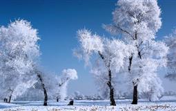 哈爾濱、長白山、長春、沈陽火車9日游