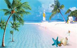 [廣東+海南旅游]湛江-三亞-?；◢u-白港島-木蘭灣-鼎龍灣雙臥十日游