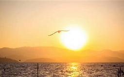 [純玩]重慶到昆明+大理+麗江雙高5晚6天[玉龍雪山+洱海+藍(lán)月谷]