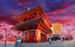日本东京+横滨+河津赏樱6日游
