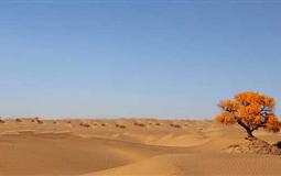 [出境旅游]摩洛哥-撒哈拉沙漠-菲斯-舍夫沙萬(wàn)-卡薩布蘭卡-馬拉咔什全景11日