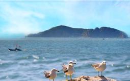 青島威海榮成雙飛5日游<煙墩角+華星橋+東褚島+神游海底世界>【自由行】