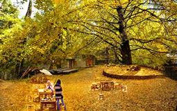 騰沖、瑞麗、芒市雙飛6日游<直飛騰沖+0自費(fèi)>