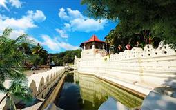 重慶到斯里蘭卡7天五晚[重慶直飛+海邊五星酒店]