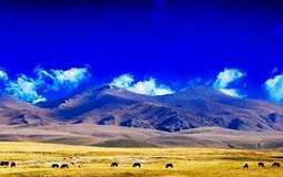 【深度南疆】四鉆真純玩雙飛一臥10日游<和田+金草灘+塔什庫爾干+喀拉庫勒湖+清真寺+澤普金胡楊林>