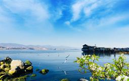 云南昆明-大理-麗江-香格里拉8日休閑游