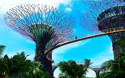 新加坡深度純玩半自由行6日游