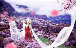 西藏拉薩-林芝-羊湖臥進(jìn)飛回9日游