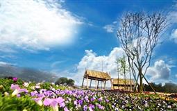 赤水堯壩驛-黔北四季花香-佛光巖-桫欏-土城3日游