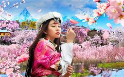 [純玩]西藏布達拉宮+大昭寺+魯朗林海+雅魯藏布大峽谷+巴松措+雅尼濕地+林芝桃花溝+羊卓雍措去臥回飛9日游