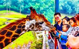 永川樂和樂都野生動物世界、娛樂天堂雙園暢玩二日游