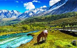 雪域高原稻城亞丁+理塘常規(guī)雙汽5日游