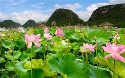 云南昆明-廣南-普者黑-壩美雙高三動(dòng)4日游(高鐵往返)<又見(jiàn)桃花源>