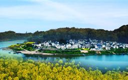 大美黃山/婺源篁嶺花海/水墨宏村/盧村雙飛5日游<100%純玩，目的地成團，定制包團，專車專導>