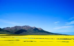 青海湖-茶卡鹽湖-塔爾寺-卓爾山-七彩丹霞-門源油菜花海小環(huán)線6日游<青耀-青耀環(huán)湖>